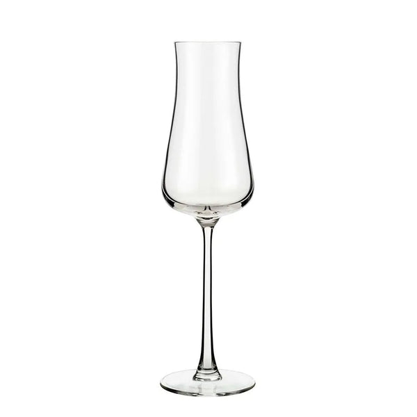 Libbey 1009305 8 oz. Virtuoso Champagne Glass - Case of 12 Pcs