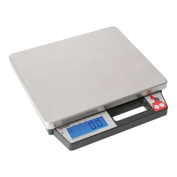 Taylor TE250 250 lb. Digital Receiving Scale with Built-In Handle